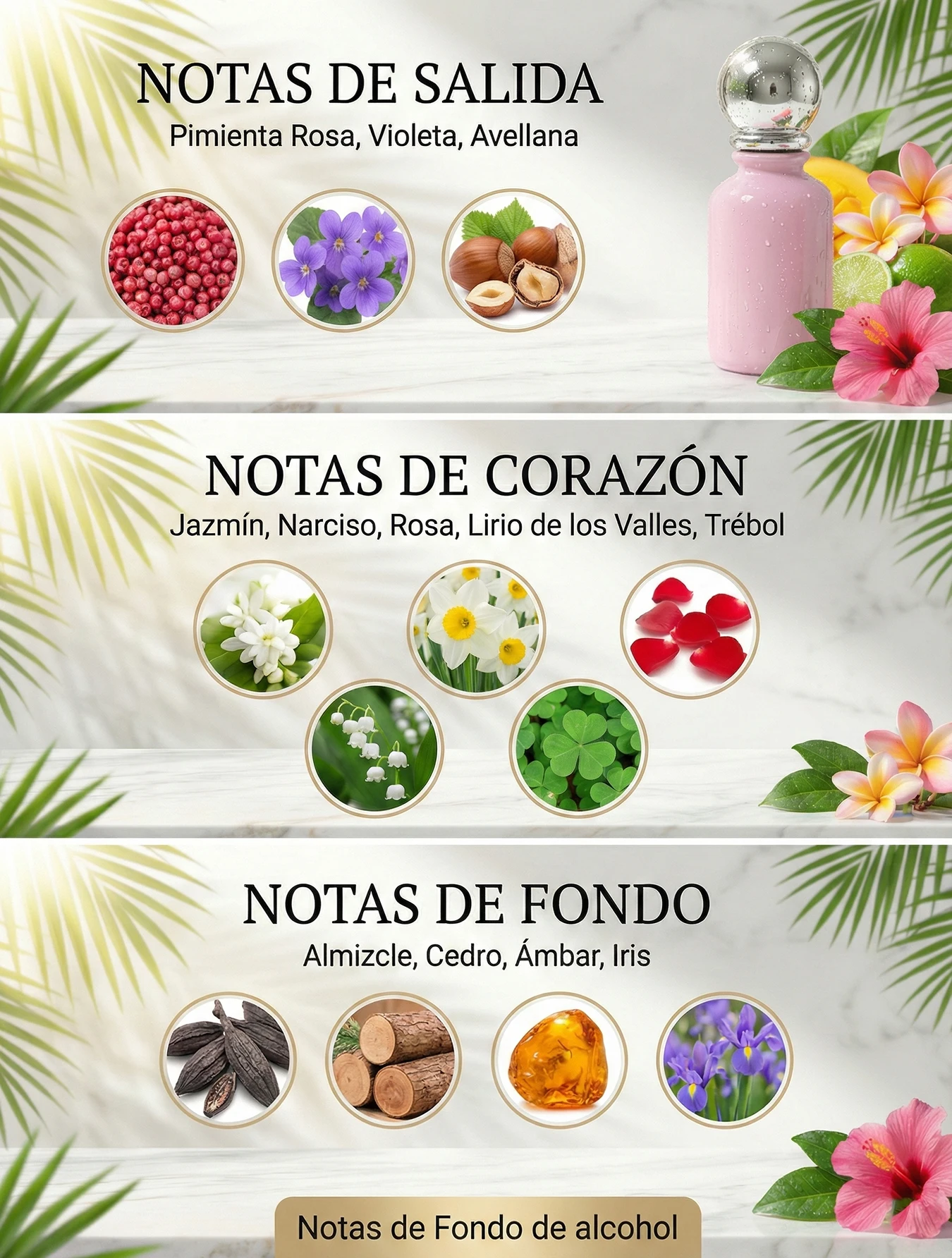 Perfume Roll-On Clive Dorris Mujer 20ML Fragancia Árabe Perfume Roll-On Clive Dorris Mujer 20ML Fragancia Árabe